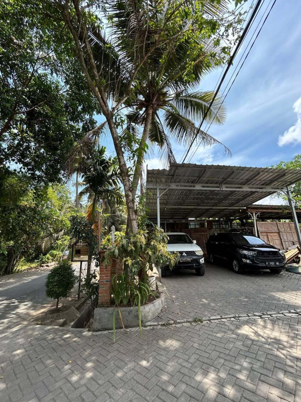 Didu'S Homestay Bed & Breakfast Banyuwangi  Exterior photo