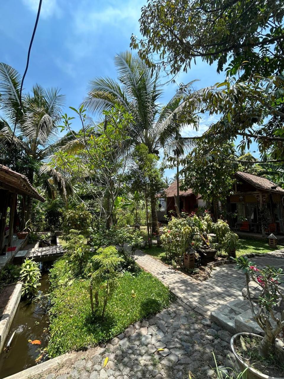 Didu'S Homestay Bed & Breakfast Banyuwangi  Exterior photo