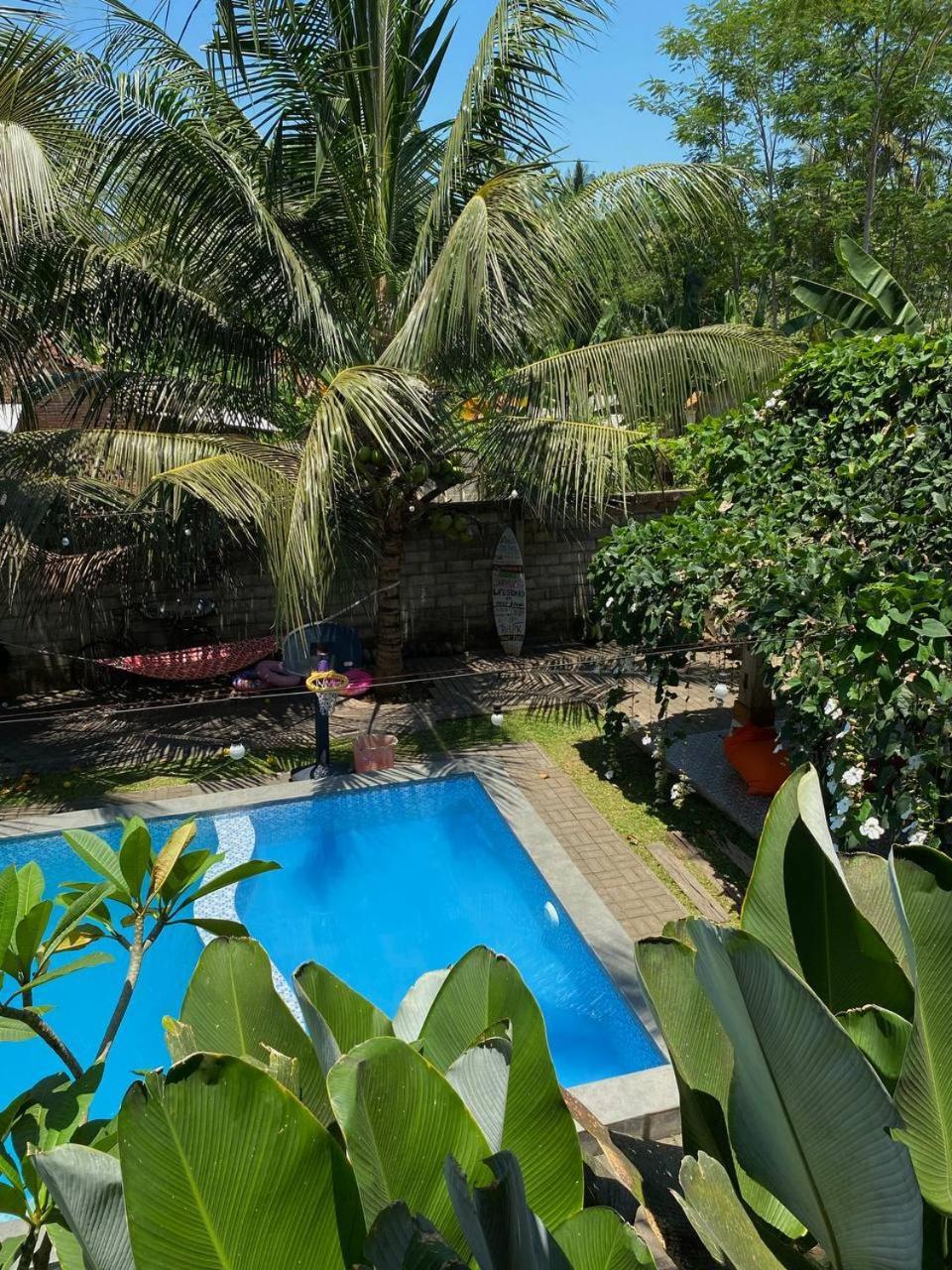 Didu'S Homestay Bed & Breakfast Banyuwangi  Exterior photo